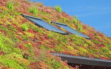 Ibthorpe living roof systems