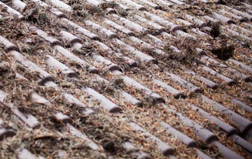 Ibthorpe roof cleaning companies